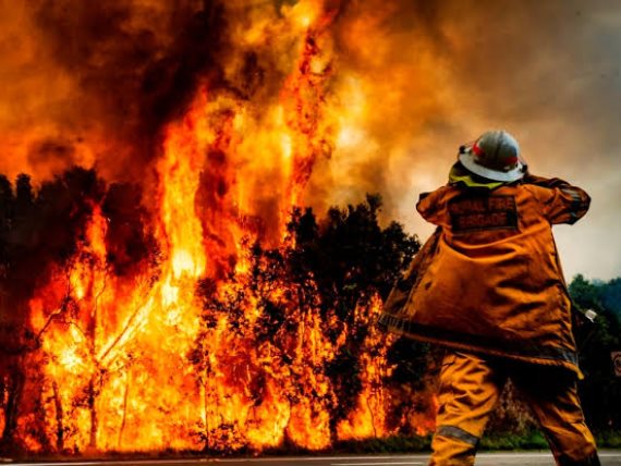 أستراليا مقتل 24 شخصا وحرق مساحة 6 ملايين هكتار ونفوق 500 مليون حيوان