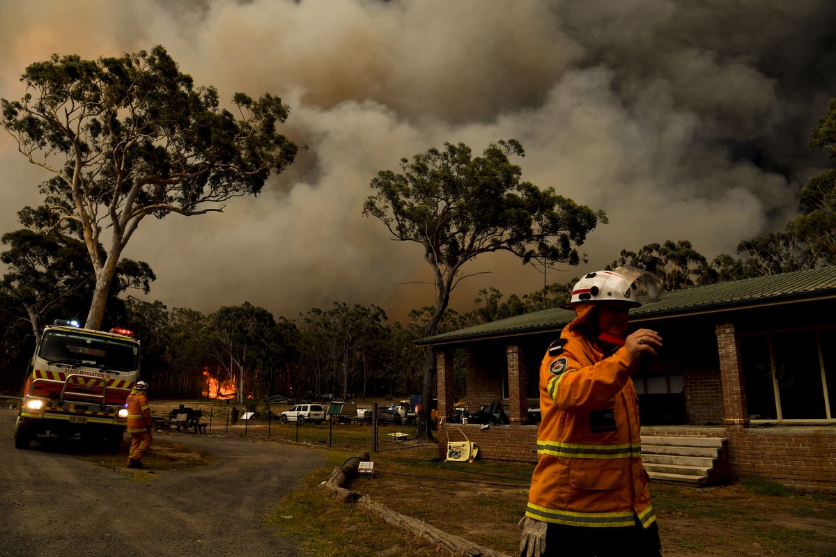 أستراليا نجوم هوليوود يقودون حملات لدعم جهود مكافحة الحرائق