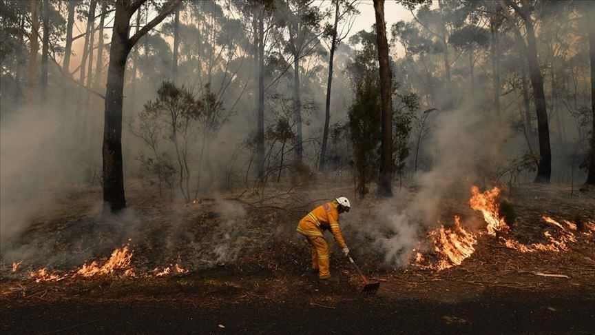 أستراليا انتهاء موسم حرائق الغابات