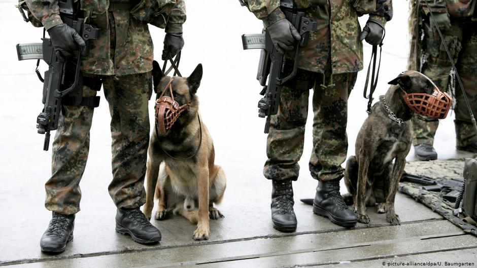 ألمانيا تستخدم الكلاب للكشف عن فيروس كورونا