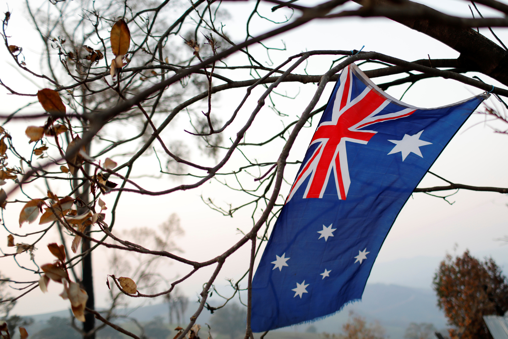 أستراليا توجه تهديدا لمنظمة التجارة العالمية والاتحاد الأوروبي