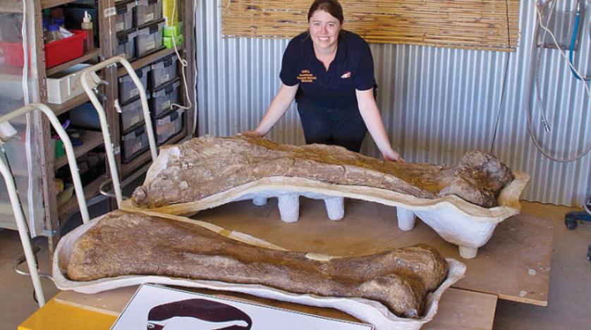أستراليااكتشاف واحد من اكبر فصائل الديناصورات
