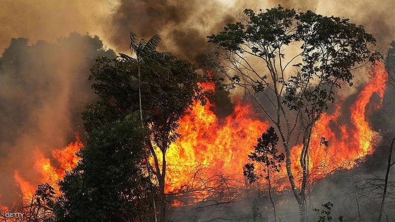 حرائق الغابات في أستراليا أثرت على مناخ العالم أكثر من كورونا
