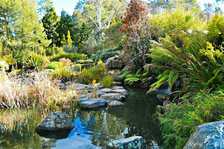أجمل الحدائق والمتنزهات الخلابة في أستراليا لعام 2022.. مواعيد الفتح والإغلاق