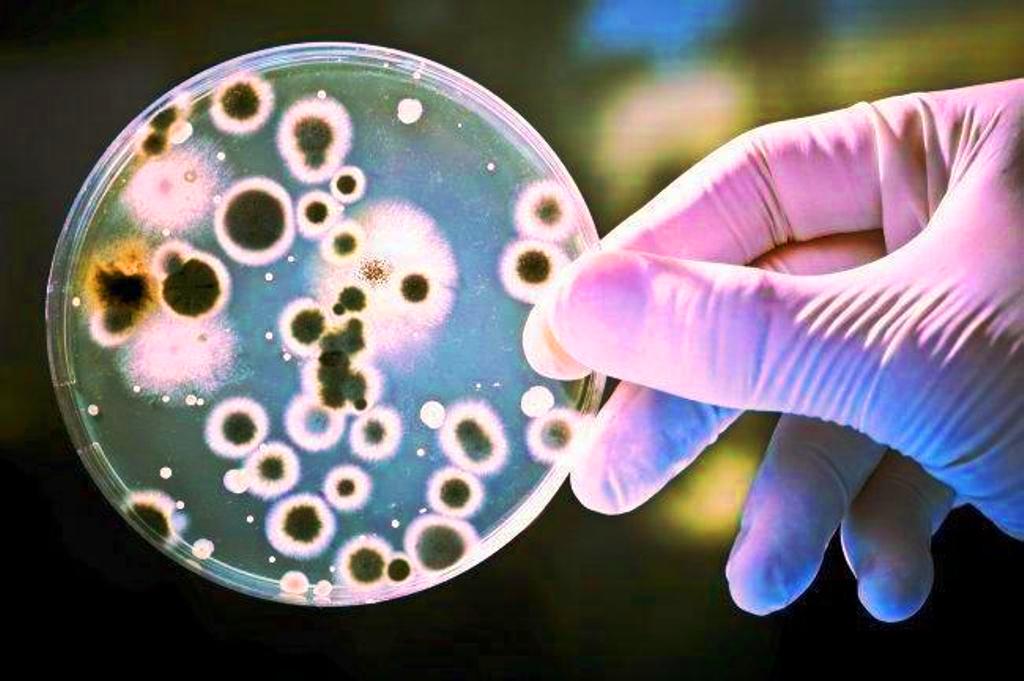 الصحة الأسترالية..تطلق تحذيراً عاجلاً حول انتشار عدوى الإصابة بالبكتيريا «Strep A»