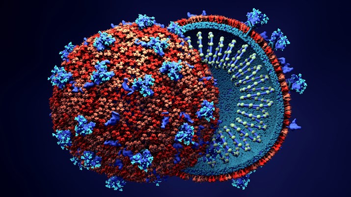 علماء من جامعة سيدني...يكتشفون بروتيناً بجسم الإنسان يطرد فيروس كورونا